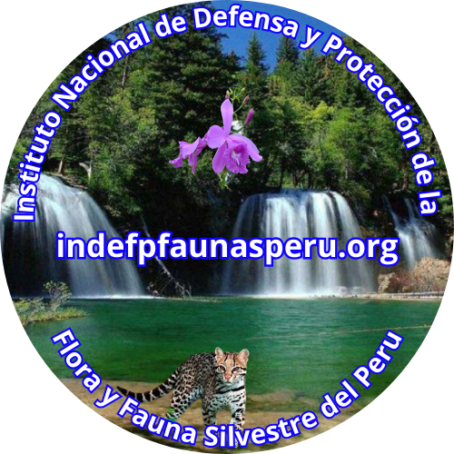 indefpfaunasperu.org